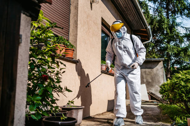 Professional Pest Control in Ludington, MI