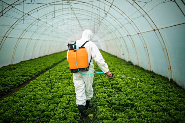 Pest Control for Restaurants in Ludington, MI