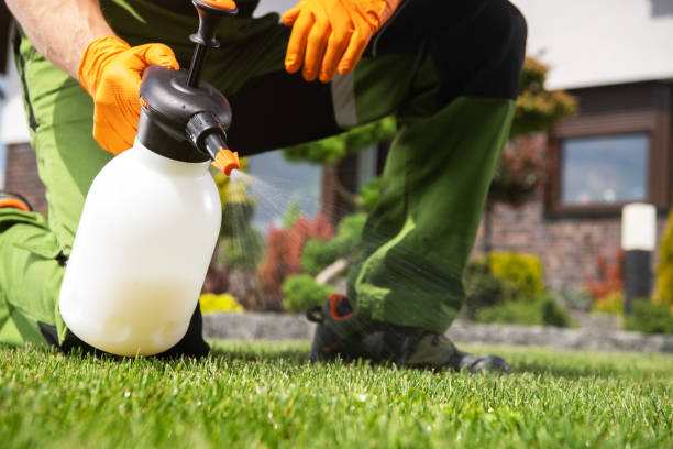  Ludington, MI Pest Control Pros