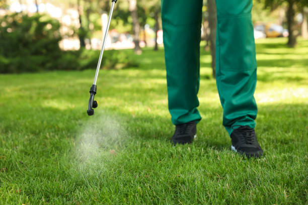 Best Pest Prevention Services  in Ludington, MI