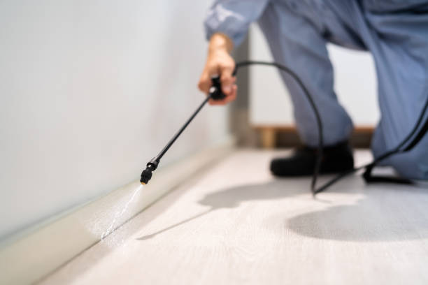 Best Mosquito Control Services  in Ludington, MI