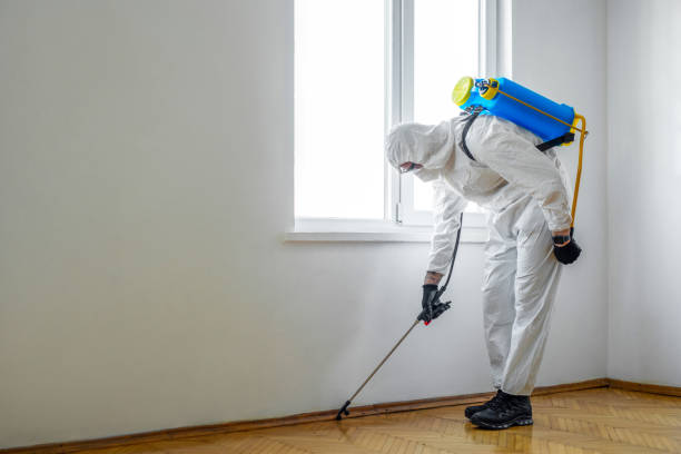 Best Affordable Exterminators  in Ludington, MI