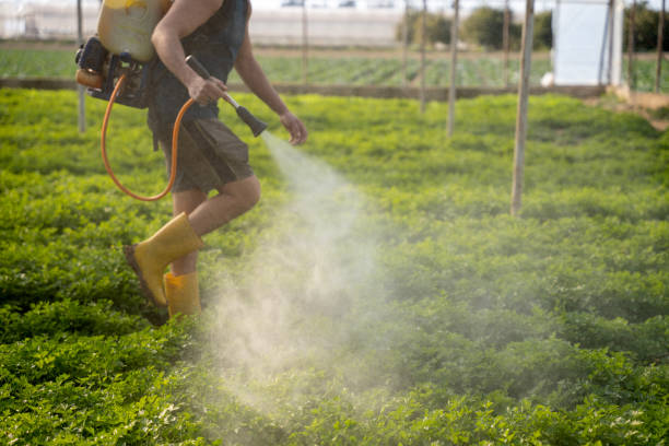 Best Best Pest Control Companies  in Ludington, MI