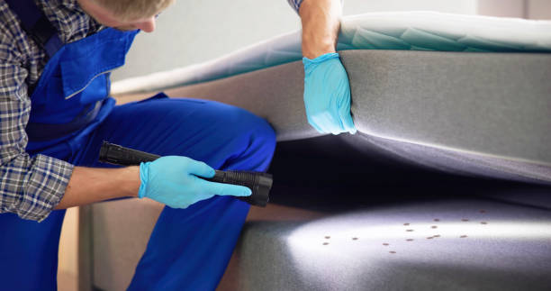 Best Bed Bug Extermination  in Ludington, MI