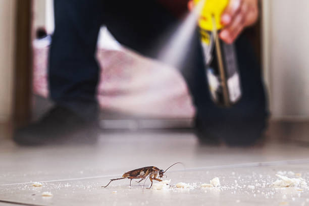Best Cockroach Control Services  in Ludington, MI