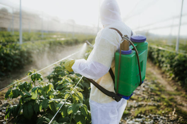 Best Residential Pest Control  in Ludington, MI